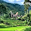 Santai Toraja