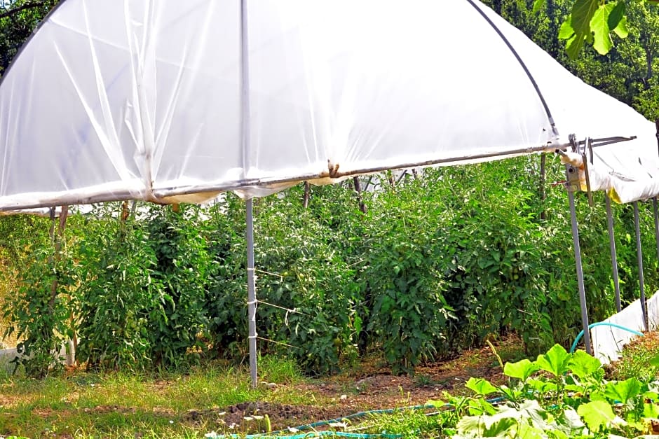 Affittacamere Convivio