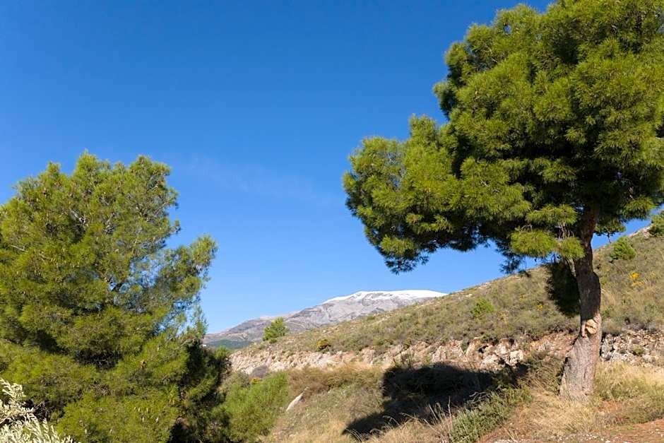 Bed&Breakfast Al Campanario