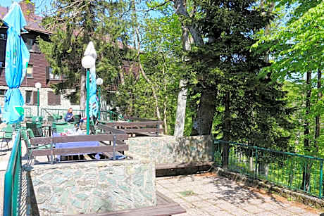 Single Room - Disability Access