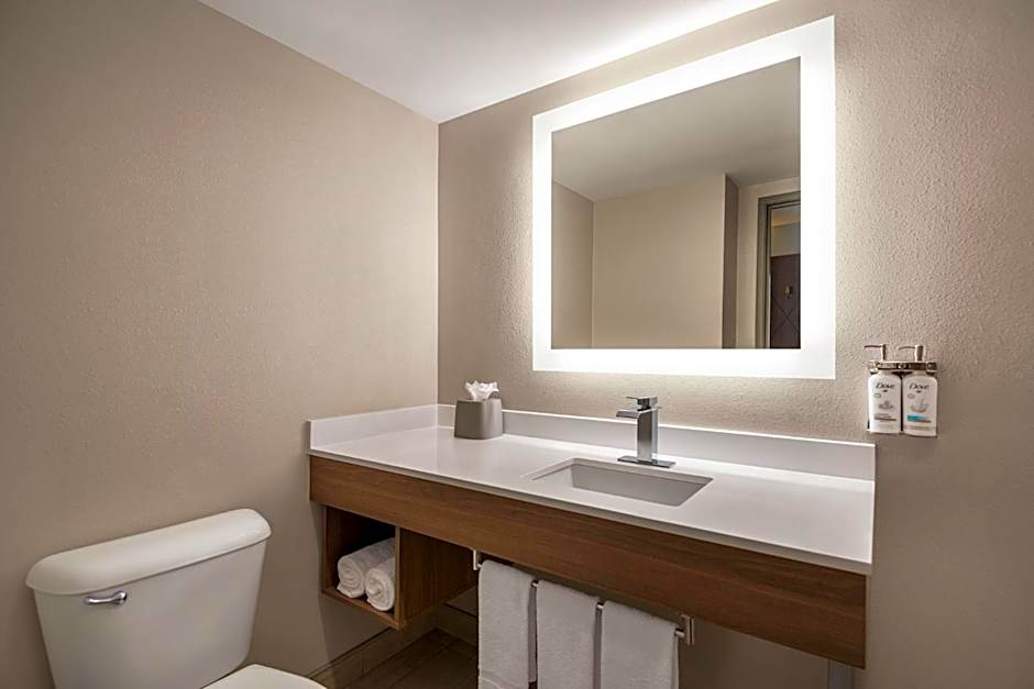 Holiday Inn Express Hotel & Suites Fredericksburg By IHG