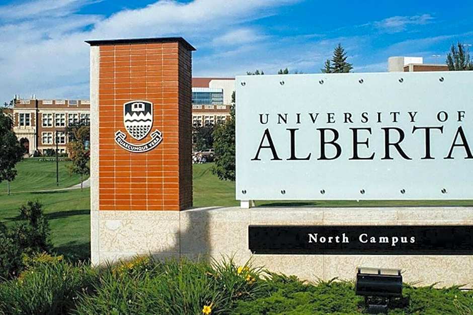 Executive Bsmt Suite, King Bed, 5 min to DT & Whyte Ave, Sleeps 6!