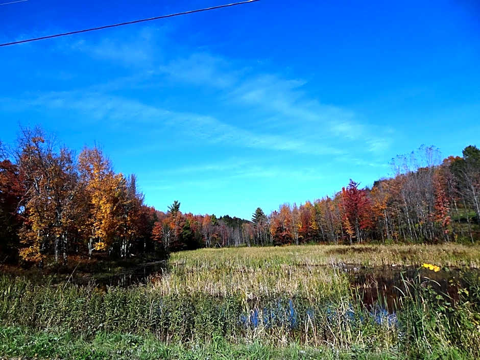 Inn At Buck Hollow Farm