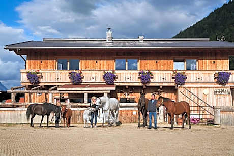 B&B Margit's Ranch Urlaub am Pferdehof