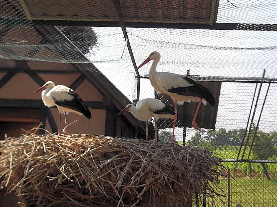 James Vignoble Hôtel, Eguisheim