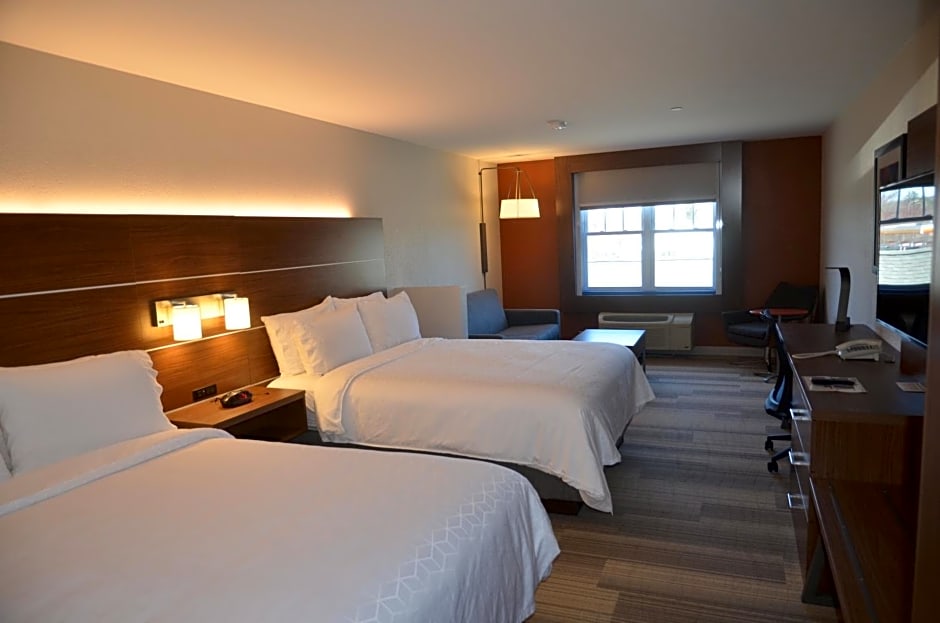 Holiday Inn Express Hotel & Suites Rochester