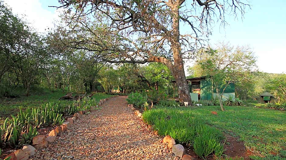 Shayamoya Tiger Fishing And Game Lodge