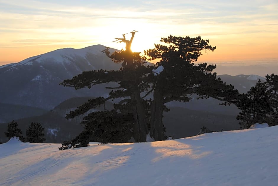 Tana Libera Tutti 1 Nature, Yourself, Love