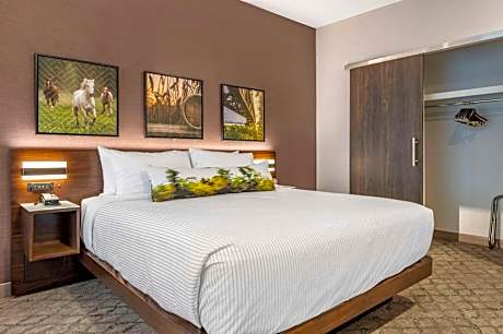 Accessible King Suite with Sofa Bed - Non Smoking