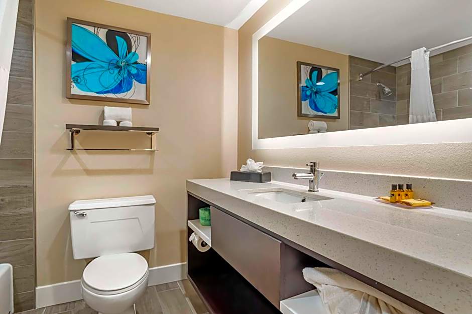 Best Western Plus Greenville I-385 Inn & Suites