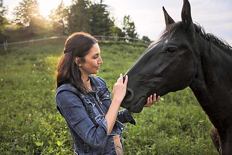 Hotel Grad Otocec - Relais Chateaux