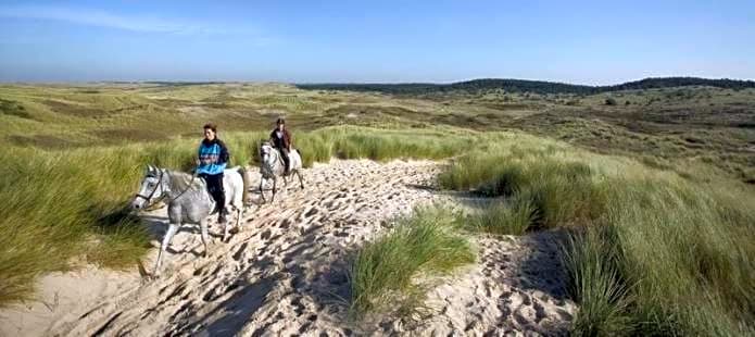 Loft aan Zee Bergen- Schoorl
