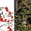 Shizuka Ryokan Japanese Country Spa & Wellness Retreat