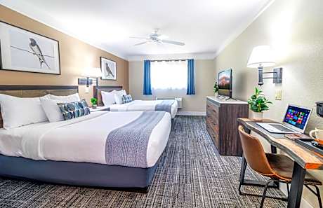 2 Queen Beds Suite - Non-Smoking