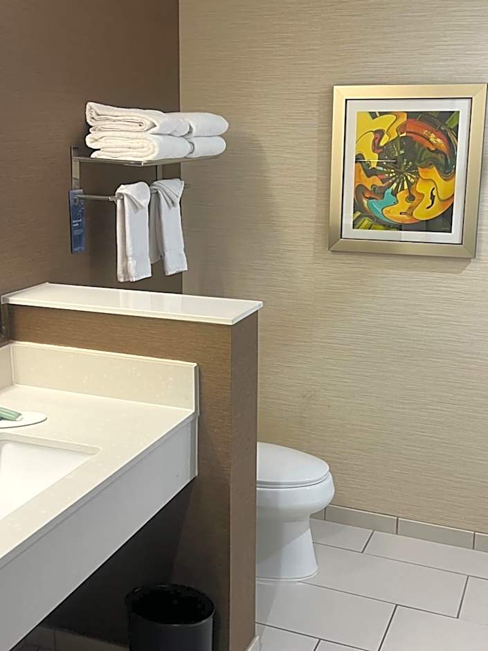 Fairfield Inn & Suites by Marriott Austin Buda