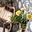 Gloppen Hotell - by Classic Norway Hotels