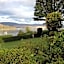 Buccleuch Guest House