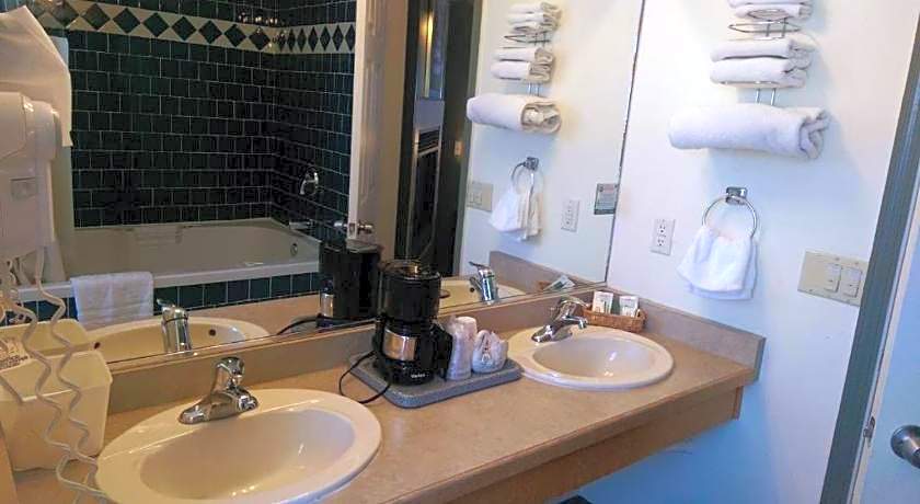 Holland Inn and Suites