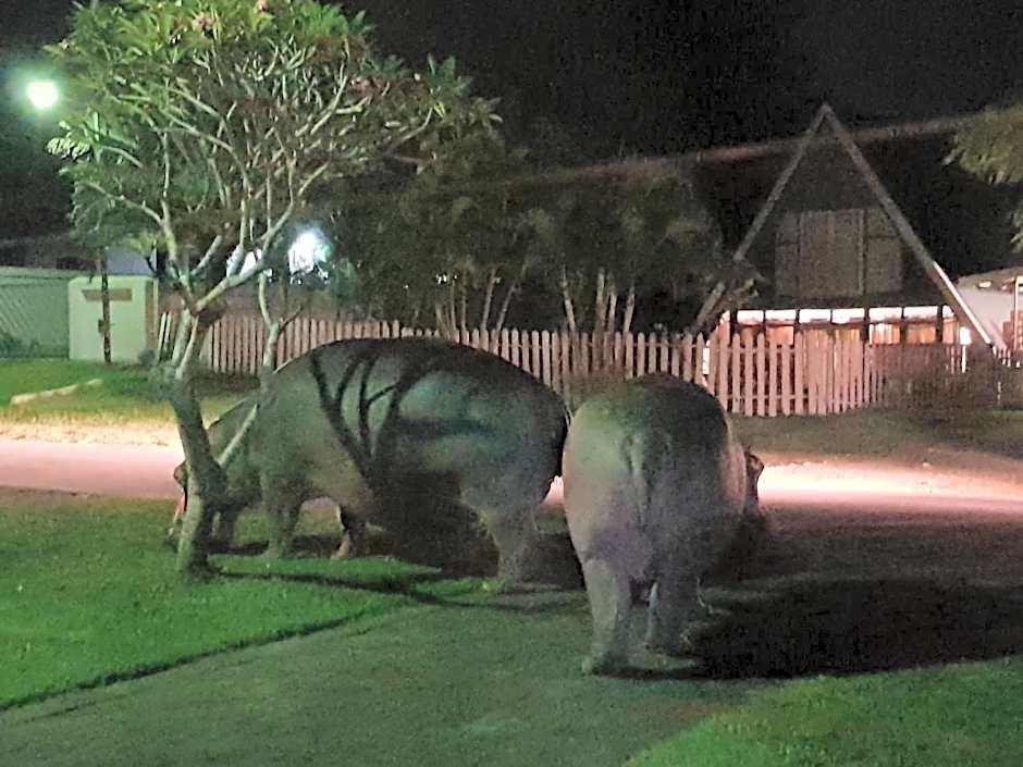 Ndiza Lodge and Cabanas