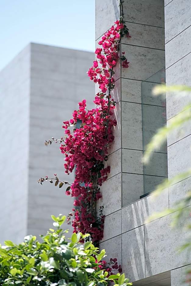 Rammos Managed By Dedeman