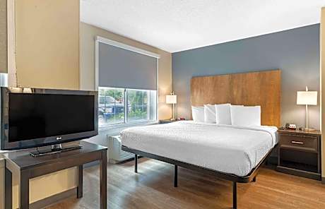 1 Bedroom Suite King