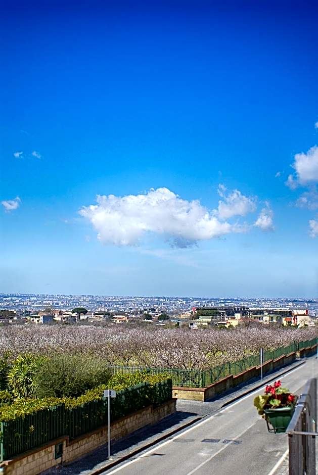 Bed and Breakfast Sommavesuvio