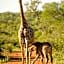 Elandela Private Game Reserve and Luxury Lodges Pty Ltd