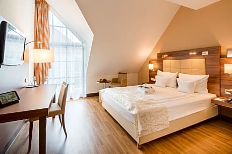 Business Double Room with Double Bed