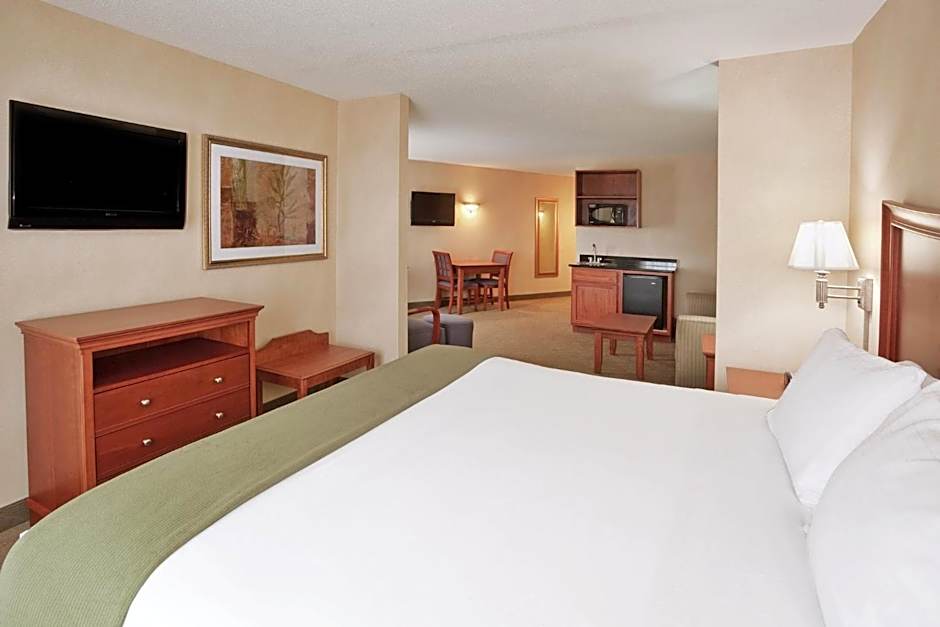 Holiday Inn Express Hotel & Suites Auburn Hills by IHG
