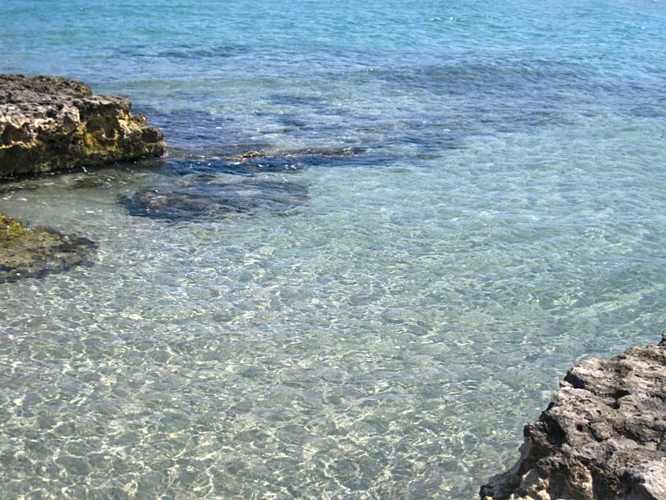 La Lanterna delle Fate