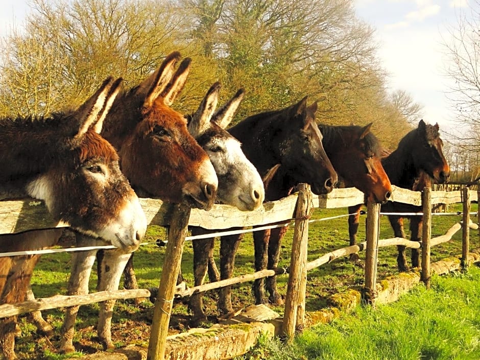 Chambres d'hôtes du Moulin de la Chaussee