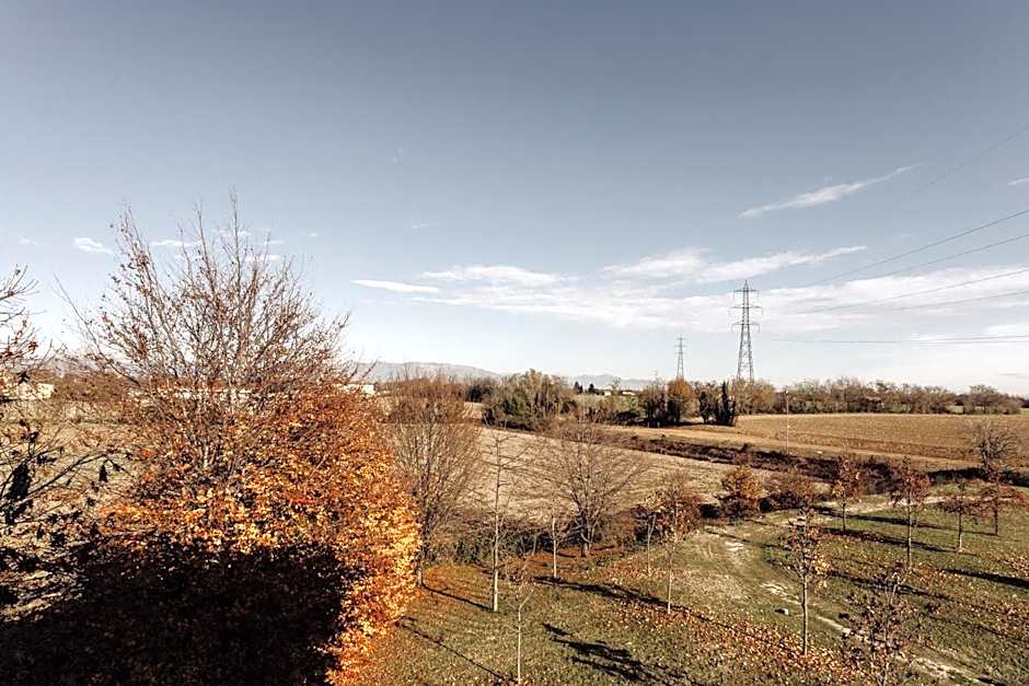 Privilege Apartments