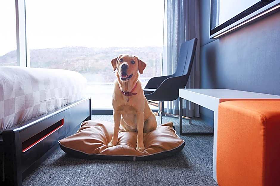 Alt Hotel St. John's