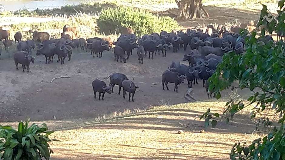 Sangasava Safari Lodge