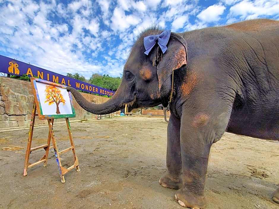 Ichihara Marine Hotel - Vacation STAY 01365v