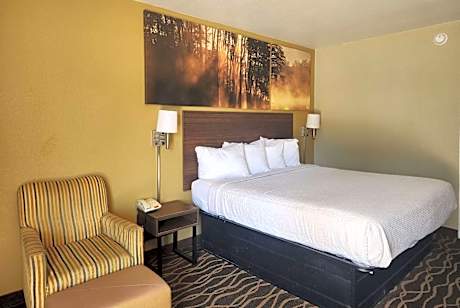 2 King Bed, Studio Suite, Non-Smoking