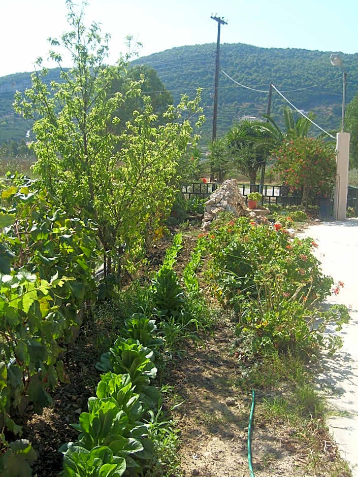 Pansion Porto Tsi Ostrias