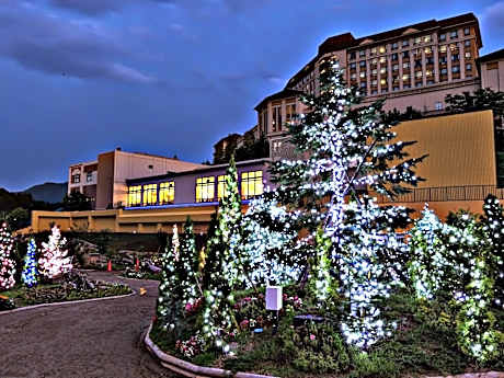 Hotel Morinokaze Oshuku