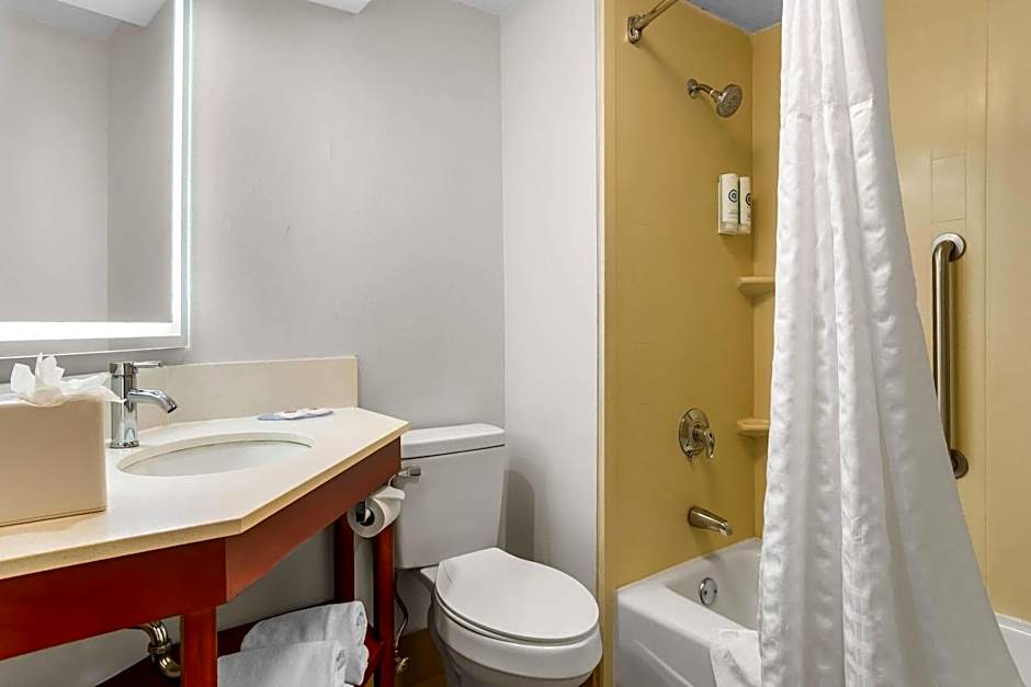 Comfort Inn Greenville - Haywood Mall