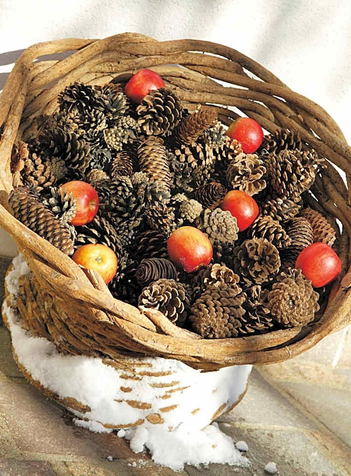 Sporthotel Schönruh