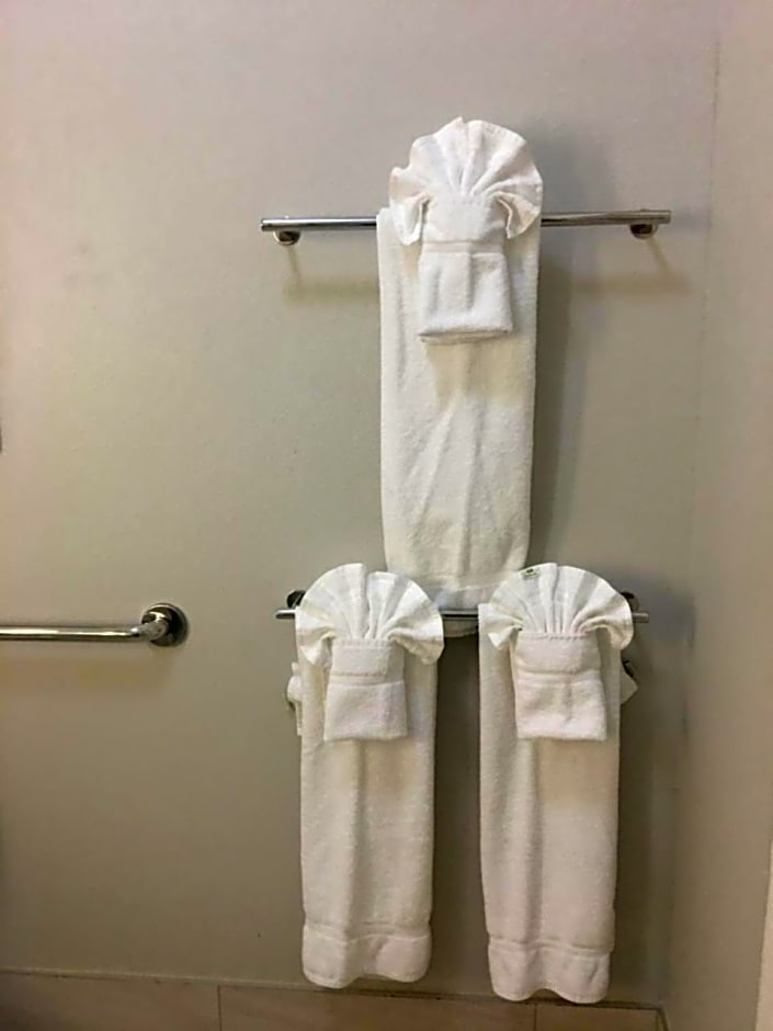 Holiday Inn Express & Suites Brenham South By IHG