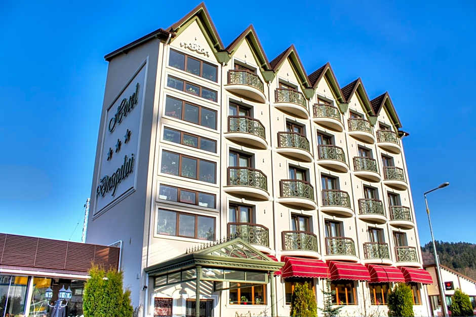 Hotel Dragului