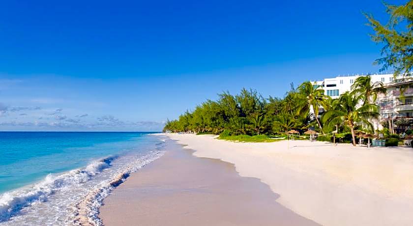 Bougainvillea Barbados
