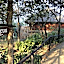 Shayamoya Tiger Fishing And Game Lodge