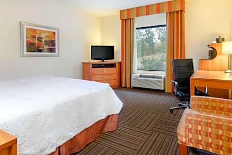 1 King Bed Nonsmoking