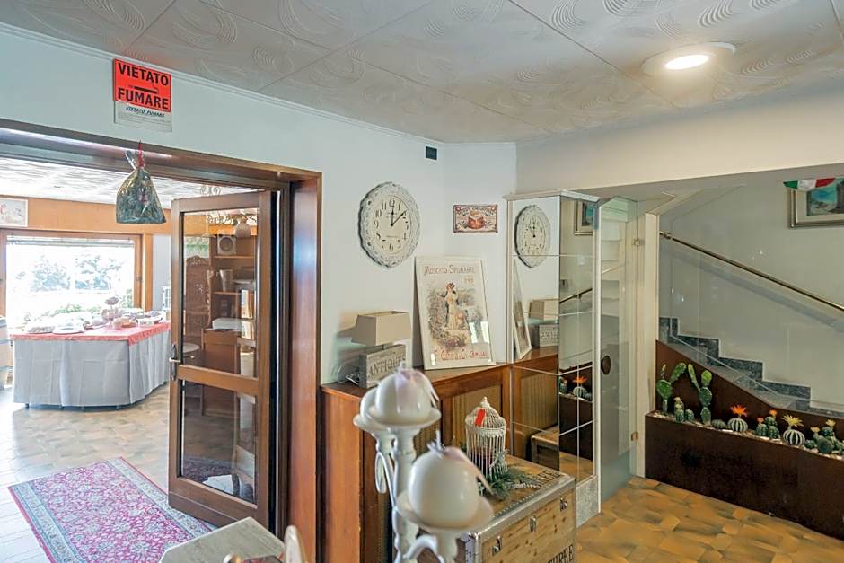 PET FRIENDLY HOTEL MIRABEAU