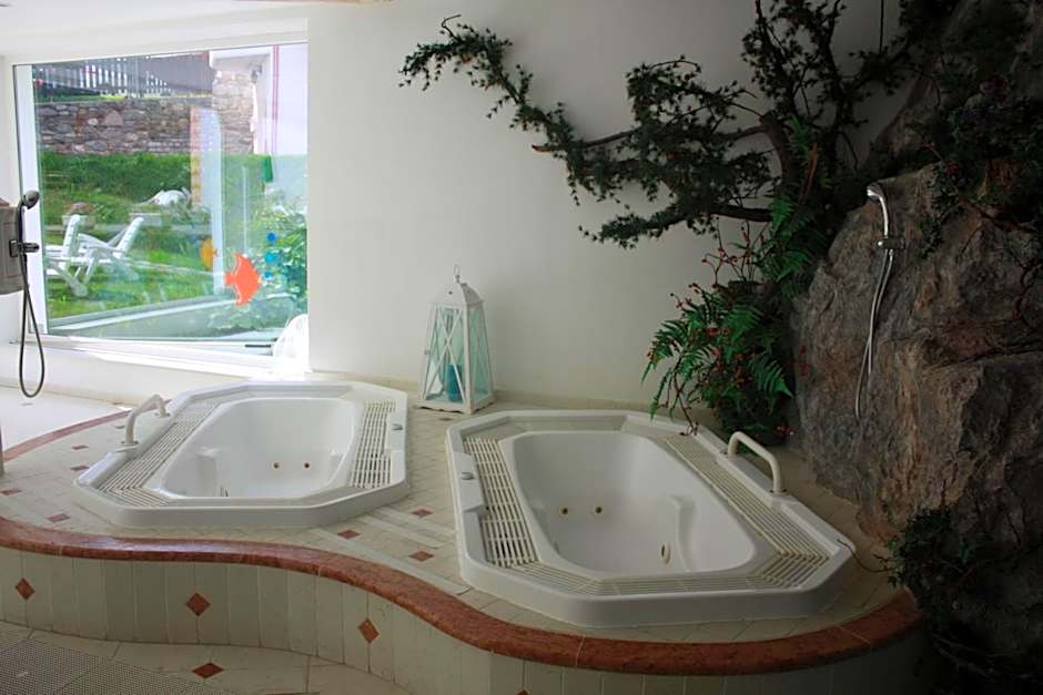 Hotel Alpino Wellness & Spa