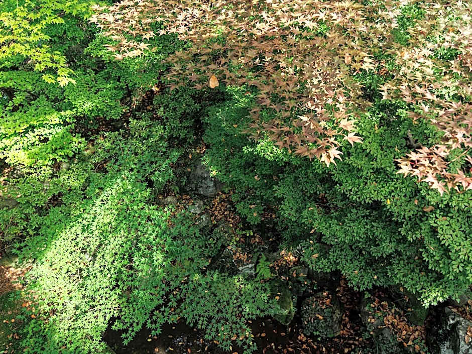 Suwa Grand Shrine Kameya Inn