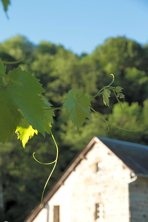 Moulin des Borderies