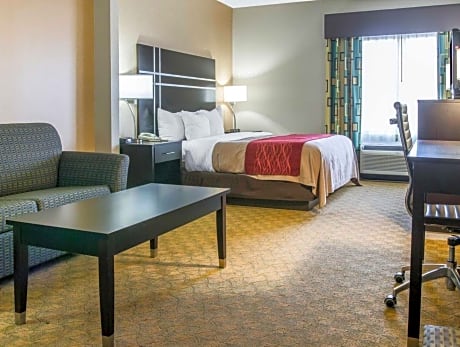 1 King Bed, Suite, Nonsmoking